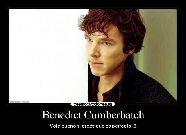 Benedict Cumberbatch - Vota bueno si crees que es perfecto :3