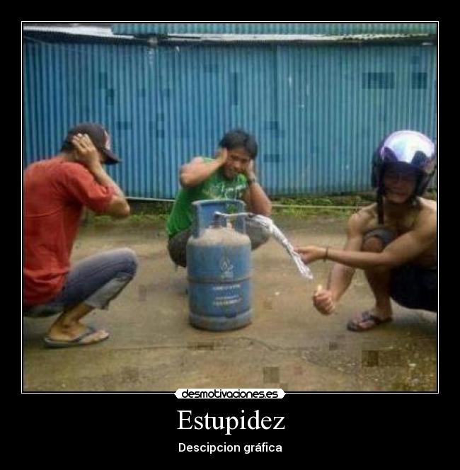 Estupidez - Descipcion gráfica