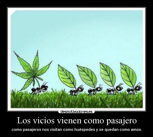 Los vicios vienen como pasajero -