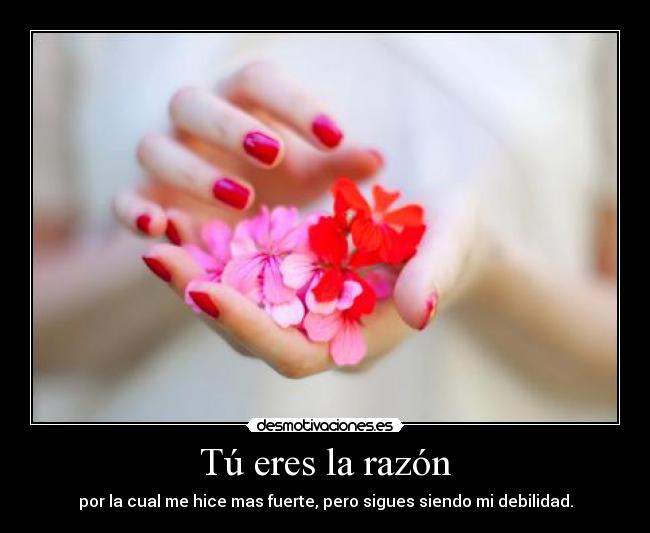 Tú eres la razón -