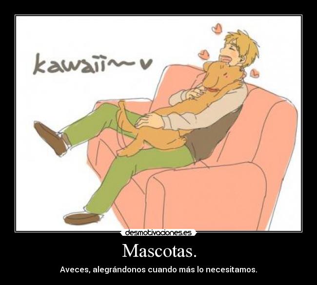 Mascotas. - Aveces, alegrándonos cuando más lo necesitamos.