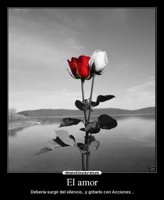 El amor - 