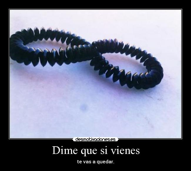 Dime que si vienes - te vas a quedar.