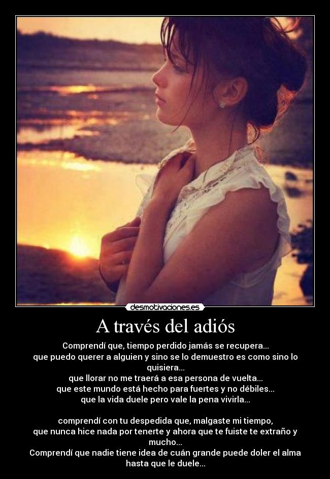 A través del adiós - Comprendí que, tiempo perdido jamás se recupera...
que puedo querer a alguien y sino se lo demuestro es como sino lo
quisiera...
que llorar no me traerá a esa persona de vuelta...
que este mundo está hecho para fuertes y no débiles...
que la vida duele pero vale la pena vivirla...

comprendí con tu despedida que, malgaste mi tiempo,
que nunca hice nada por tenerte y ahora que te fuiste te extraño y
mucho...
Comprendí que nadie tiene idea de cuán grande puede doler el alma
hasta que le duele...