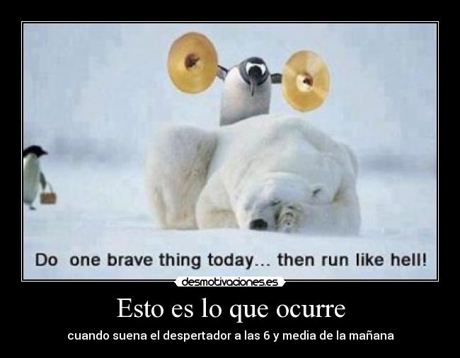 Esto es lo que ocurre -