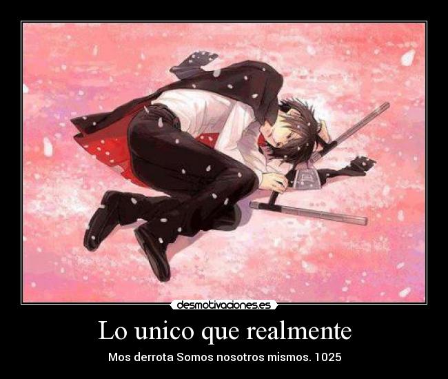 carteles 1025 desmotivaciones