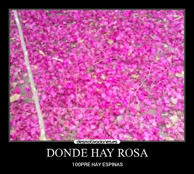 carteles desmotivaciones