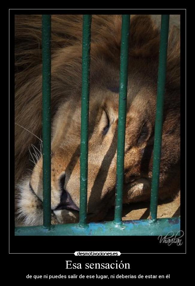 Esa sensación - de que ni puedes salir de ese lugar, ni deberías de estar en él