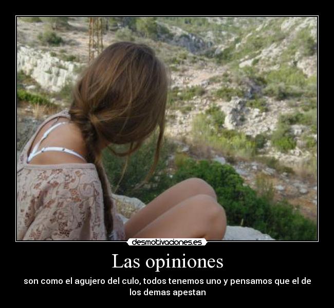 carteles las opiniones desmotivaciones