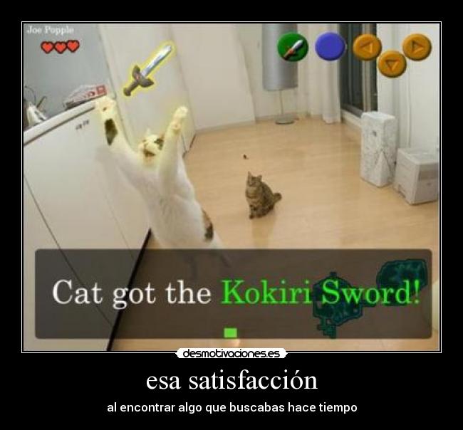 esa satisfacción - al encontrar algo que buscabas hace tiempo