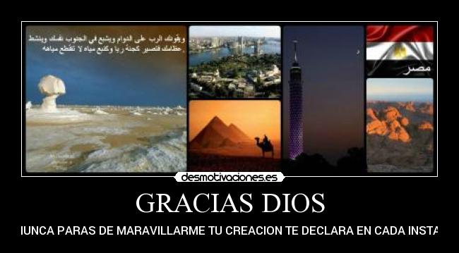GRACIAS DIOS - TU NUNCA PARAS DE MARAVILLARME TU CREACION TE DECLARA EN CADA INSTANTE