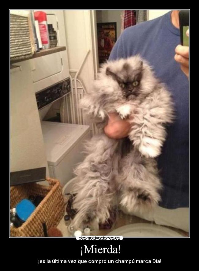 ¡Mierda! -