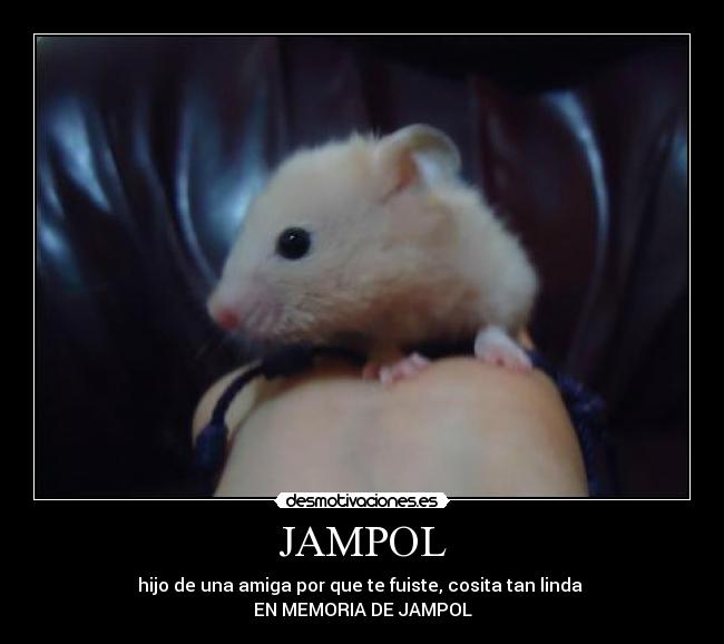 JAMPOL - hijo de una amiga por que te fuiste, cosita tan linda
EN MEMORIA DE JAMPOL