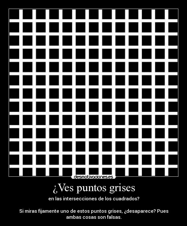 ¿Ves puntos grises - en las intersecciones de los cuadrados?
Si miras fijamente uno de estos puntos grises, ¿desaparece? Pues
ambas cosas son falsas.