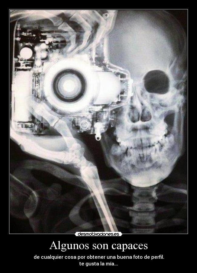 Algunos son capaces - de cualquier cosa por obtener una buena foto de perfil.
te gusta la mía...