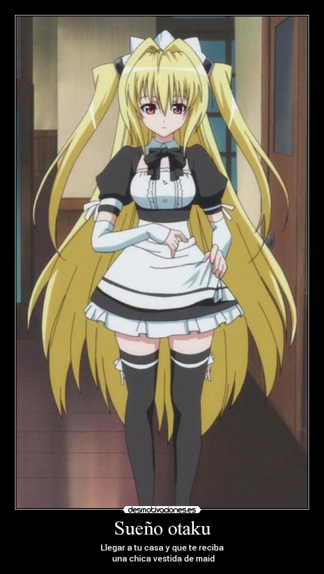 Sueño otaku - Llegar a tu casa y que te reciba
una chica vestida de maid