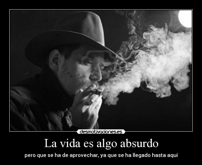 La vida es algo absurdo -
