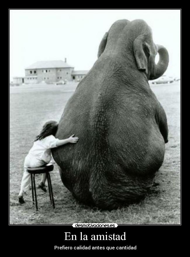 En la amistad -
