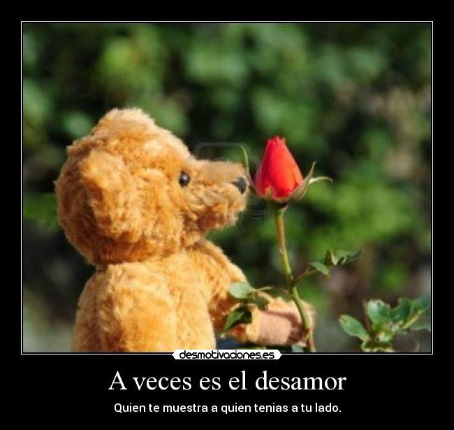 A veces es el desamor - 