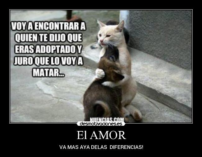El AMOR -