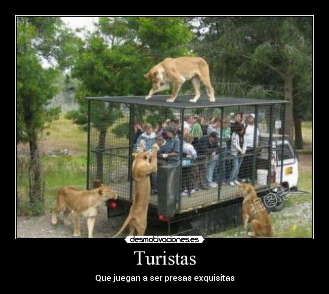 Turistas - 