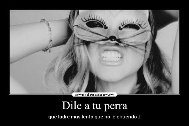Dile a tu perra -