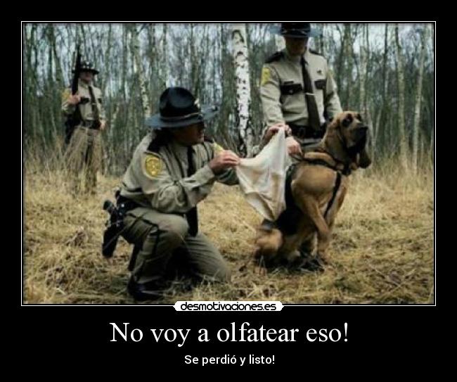 No voy a olfatear eso! - Se perdió y listo!