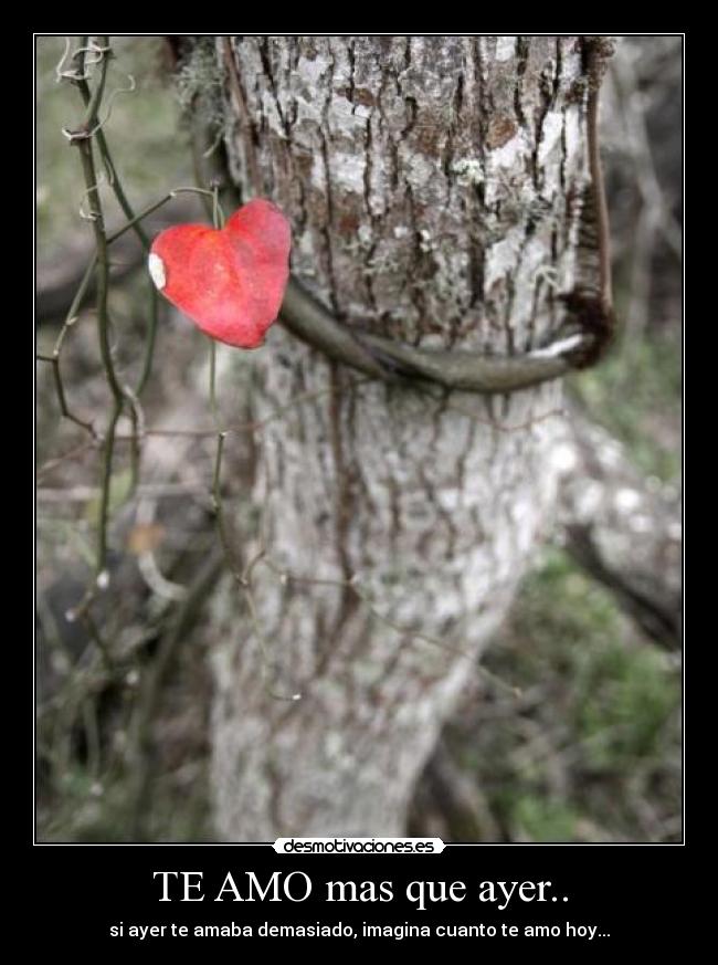 TE AMO mas que ayer.. - si ayer te amaba demasiado, imagina cuanto te amo hoy...