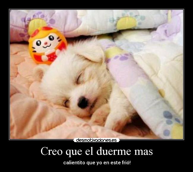 Creo que el duerme mas -