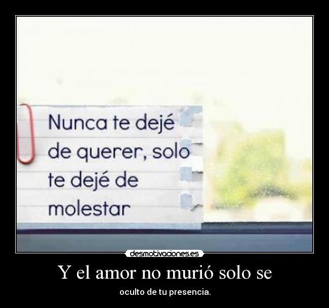 Y el amor no murió solo se - 