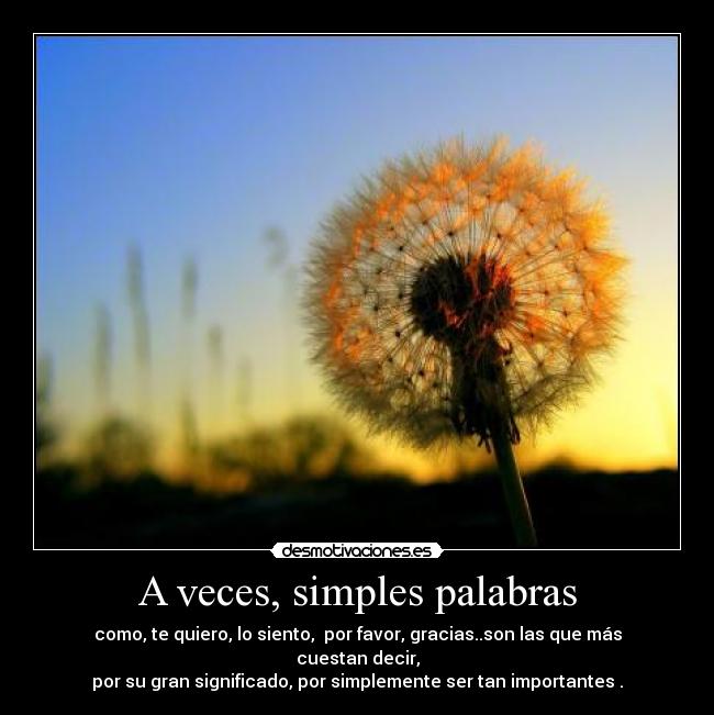 A veces, simples palabras - como, te quiero, lo siento, por favor, gracias..son las que más cuestan decir,
por su gran significado, por simplemente ser tan importantes .