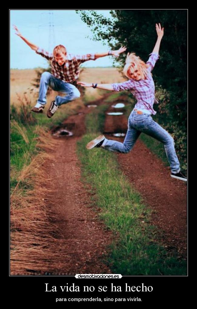 La vida no se ha hecho -