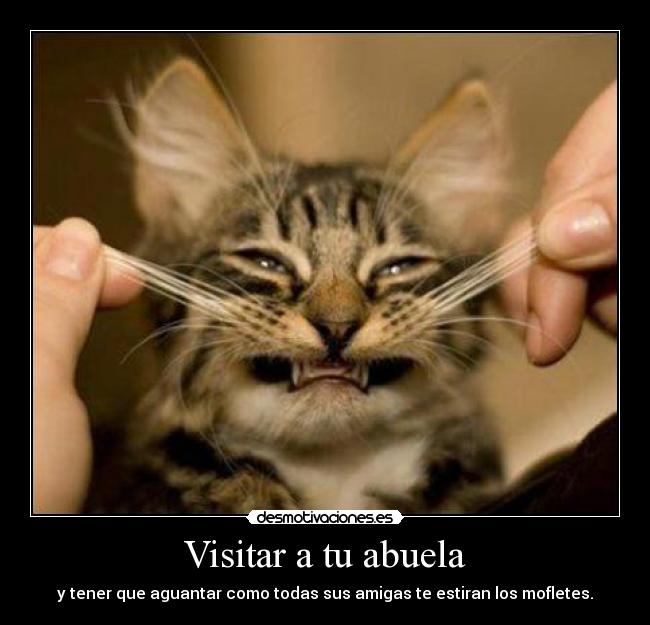 Visitar a tu abuela - y tener que aguantar como todas sus amigas te estiran los mofletes.