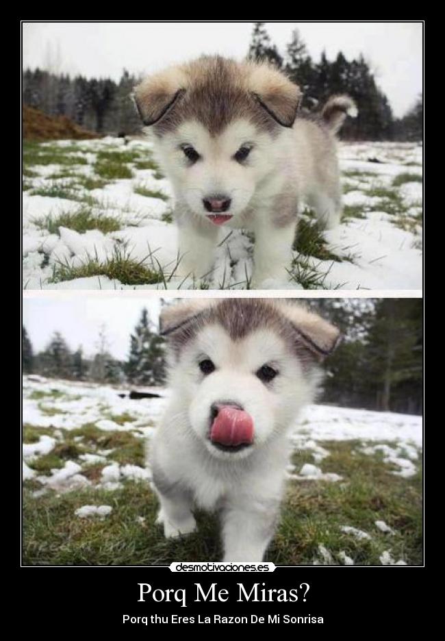 Porq Me Miras? - Porq thu Eres La Razon De Mi Sonrisa