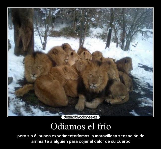 Odiamos el frío -