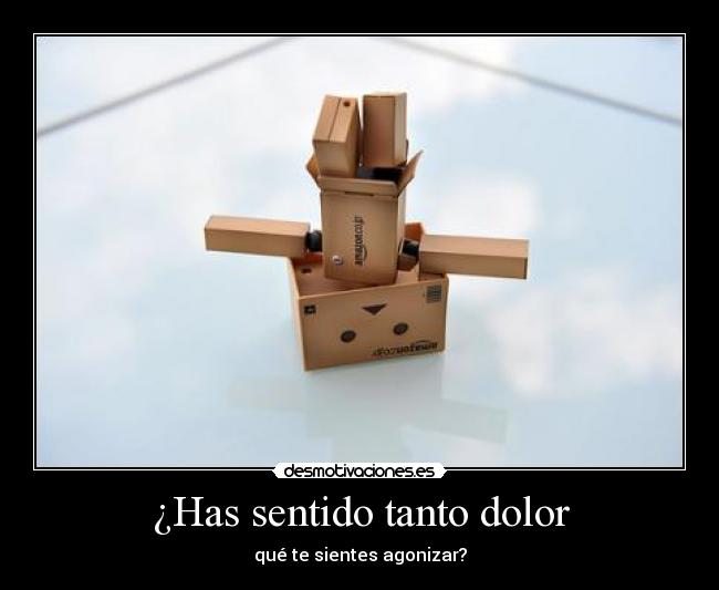 carteles dolor danbo lleva china se que tengo desmotivaciones