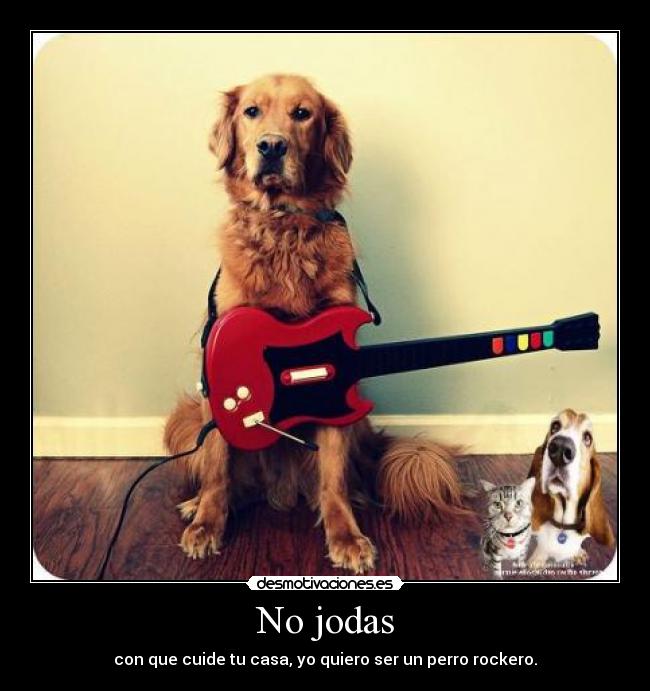 No jodas - con que cuide tu casa, yo quiero ser un perro rockero.