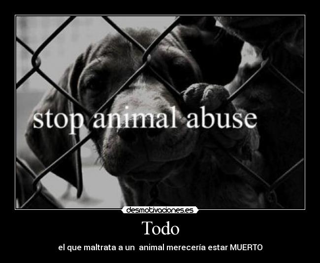 Todo - el que maltrata a un animal merecería estar MUERTO