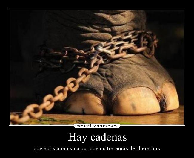 Hay cadenas - 