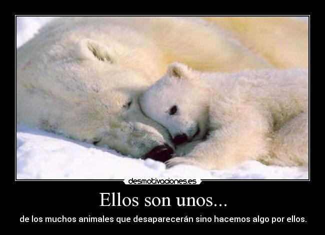 Ellos son unos... - 