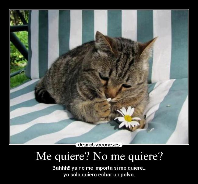 Me quiere? No me quiere? - 