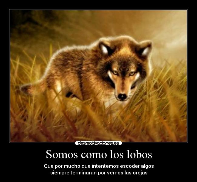 Somos como los lobos -