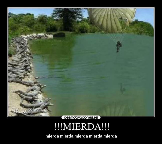 carteles cocodrilos desmotivaciones