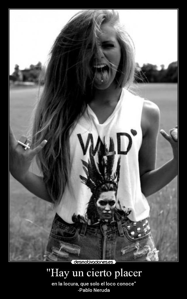 carteles placer locura desmotivaciones