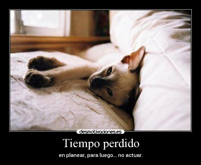 Tiempo perdido - en planear, para luego... no actuar.