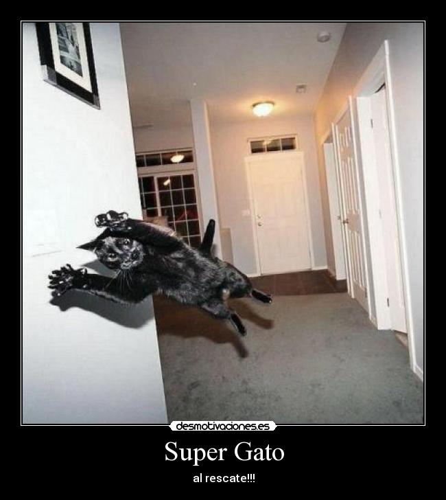 Super Gato - al rescate!!!