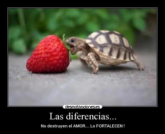 Las diferencias... - No destruyen el AMOR.... Lo FORTALECEN !