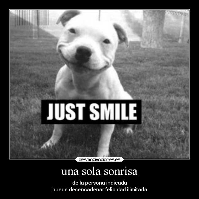 una sola sonrisa - 