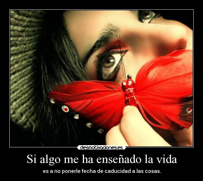 carteles vida vida ensenar fecha caducidad cosas desmotivaciones