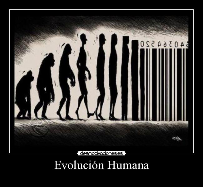 Evolución Humana - 